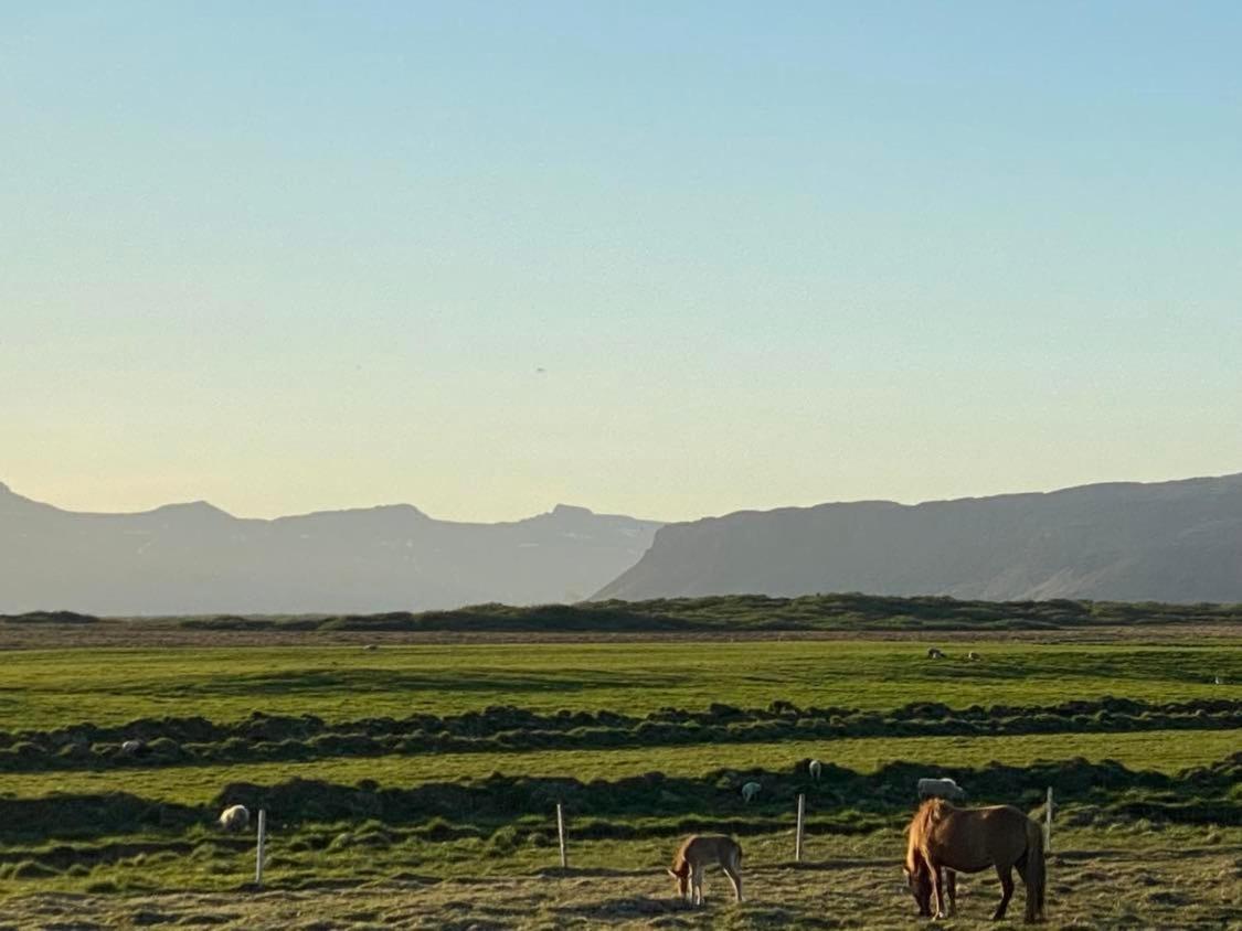 Alftartunga Farm Guesthouse Borgarnes Dış mekan fotoğraf